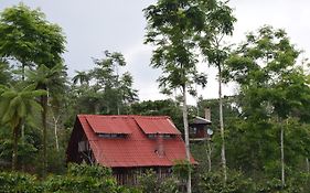 Cabañas los Cedros